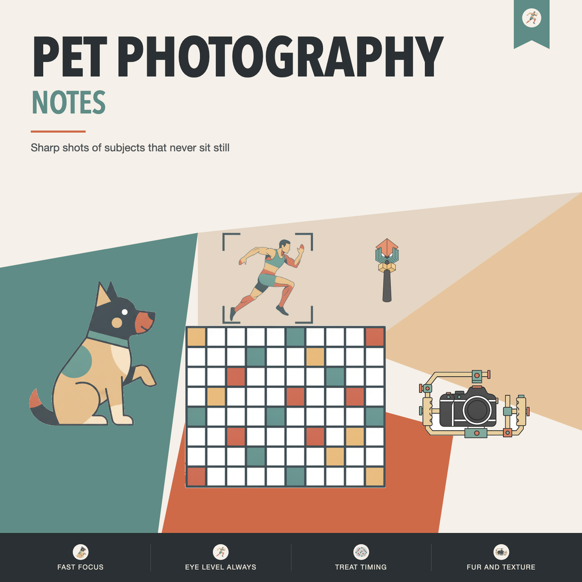 Pet Photography Notes